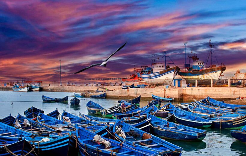 Full-Day Trip to Essaouira from Marrakech
